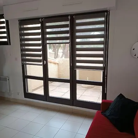 Апартаменты Renove Dans De Avec Grande Piscine Chauffee, Parking Et Terrasse Агд